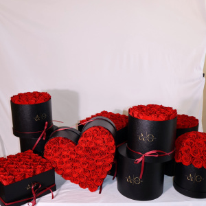 Tezza-0982