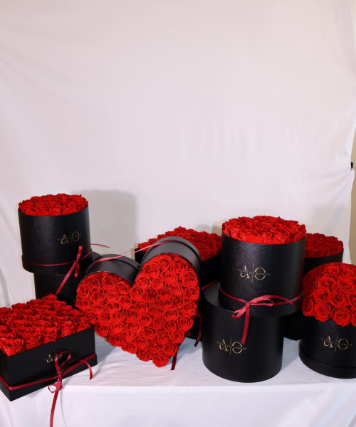 Tezza-0982